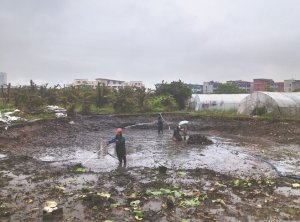 西青河道鱼塘清淤
